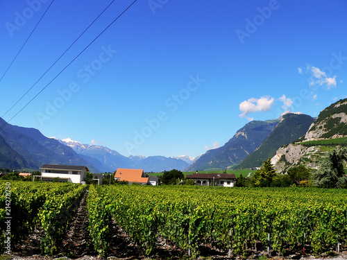 Swiss Alps-view of the vineyards at Chamoson photo