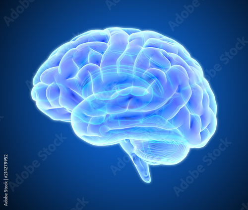 Brain scan illustration isolated on dark blue BG