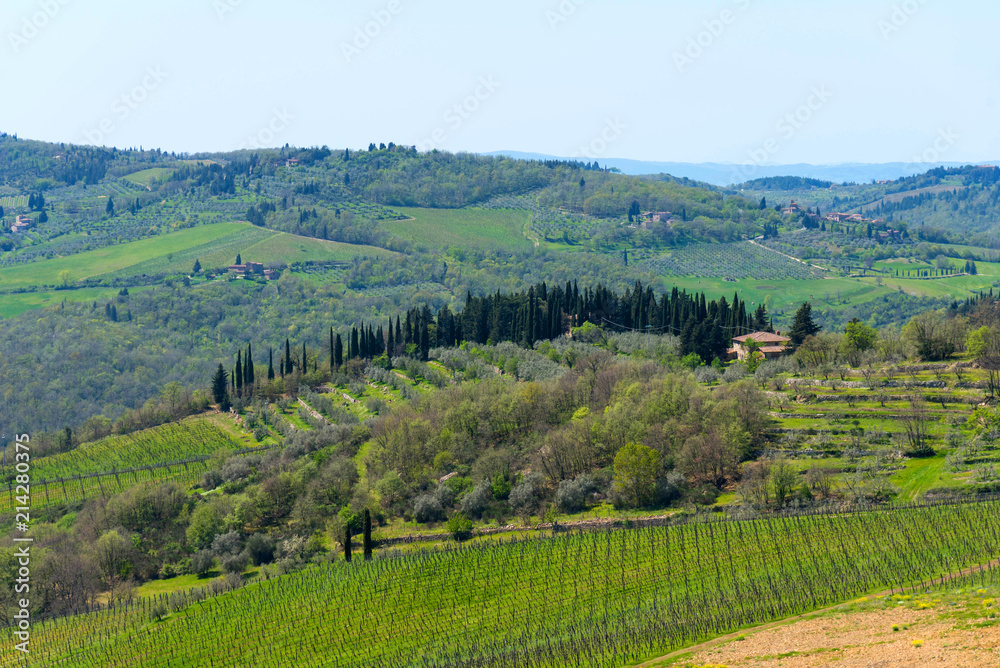 Panoramic view of countryside and vineyards in the Chianti region, Tuscany, Italy.