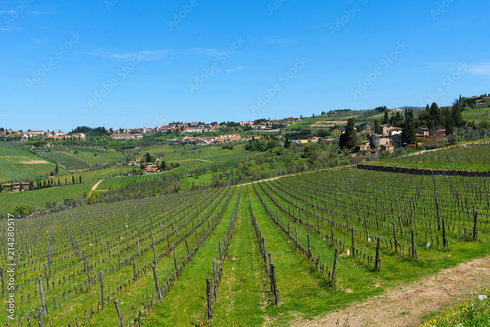 Panoramic beautiful view of Radda in Chianti and vineyards and olive trees in the Chianti region, Tuscany, Italy.