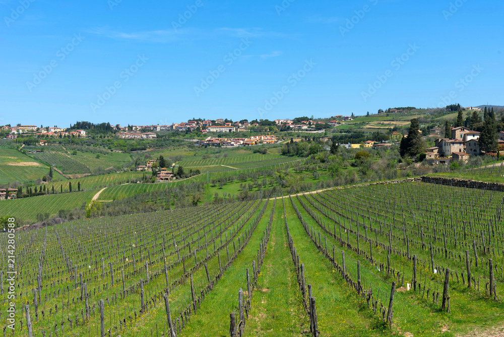 Panoramic beautiful view of residential areas Radda in Chianti and vineyards and olive trees in the Chianti region, Tuscany, Italy.
