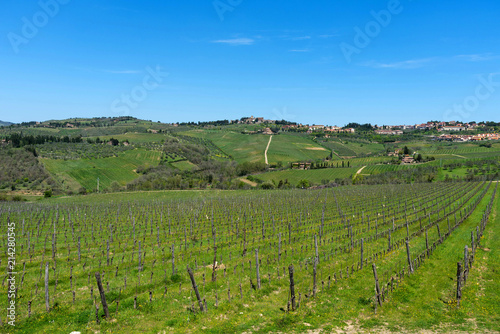 Panoramic beautiful view of Radda in Chianti and vineyards and olive trees in the Chianti region, Tuscany, Italy.