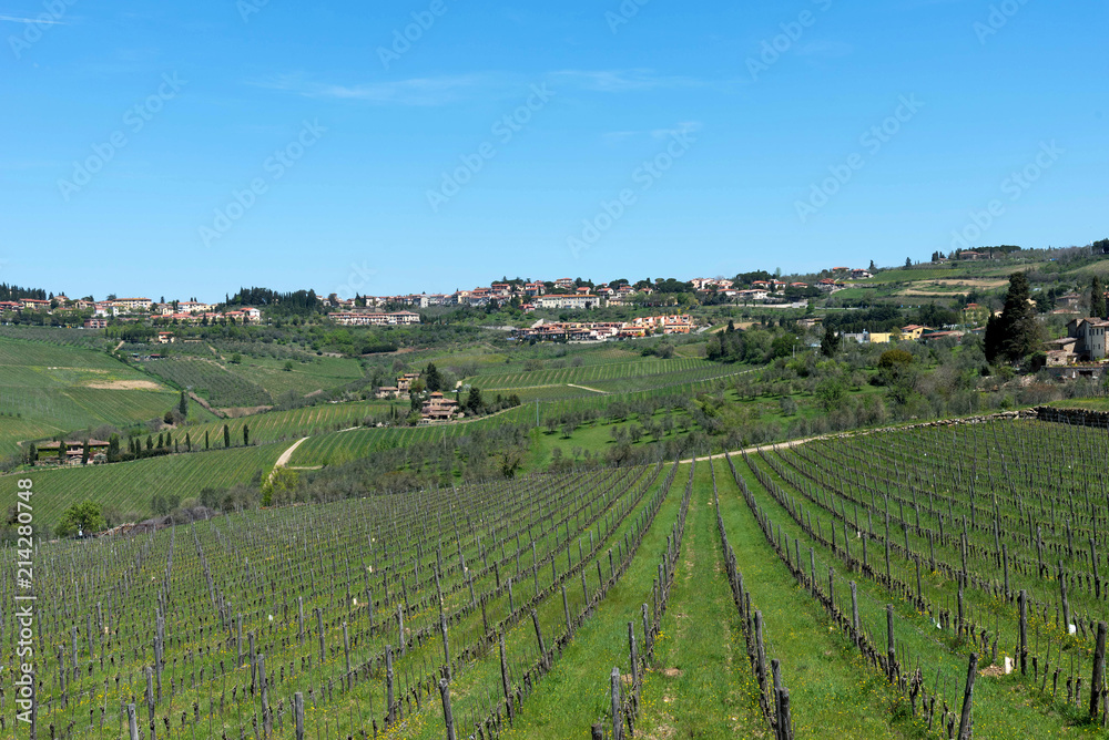 Panoramic beautiful view of residential areas Radda in Chianti and vineyards and olive trees in the Chianti region, Tuscany, Italy.
