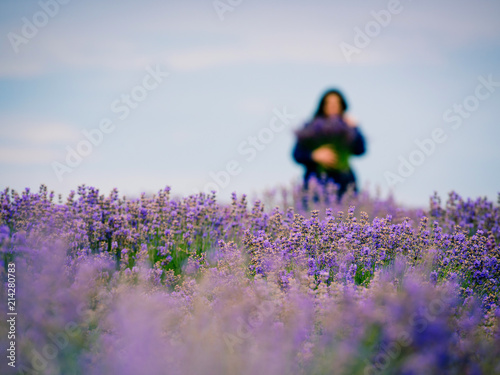 Fototapeta Naklejka Na Ścianę i Meble -  Soft focus flowers, beautiful lavender flowers blooming. Girl with a bouquet in the background in the defocus.