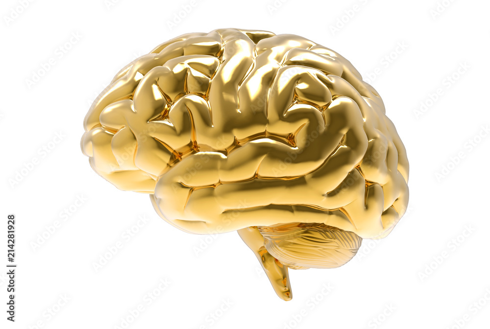 3D Gold human brain illustration isolated on white BG 3D Gold human brain illustration isolated on white BG