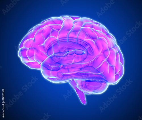 Brain scan illustration isolated on dark blue BG