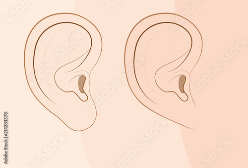 Attached earlobe and free earlobe in comparison. Different looks of the human ear because of recessive gene frequency. Comic vector illustration.