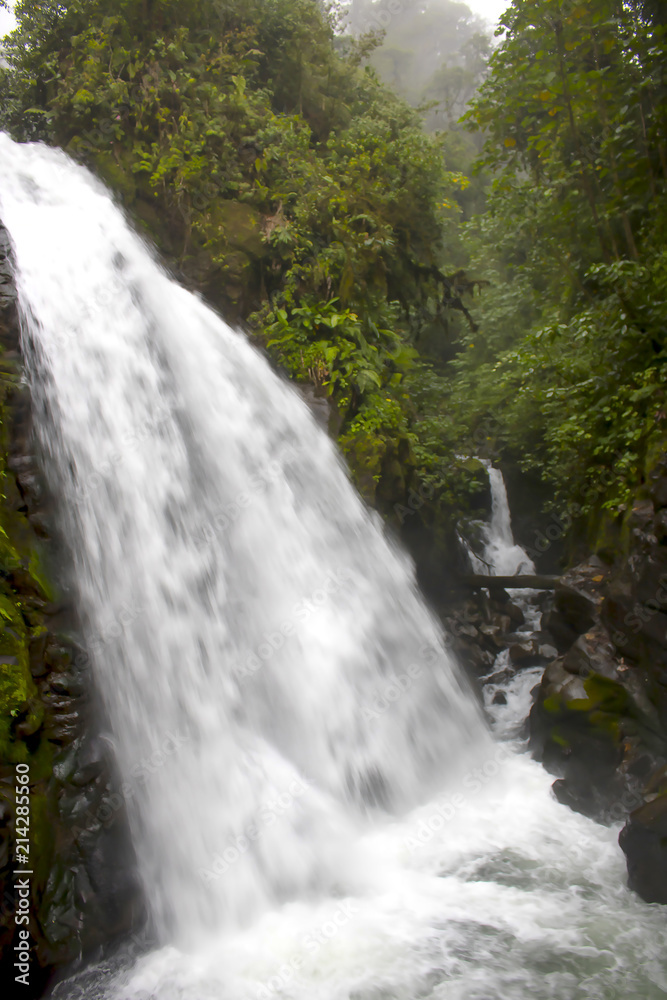 Waterfalls in Jungle Waterfalls in Jungle