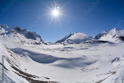 Athabaska Icefield photo