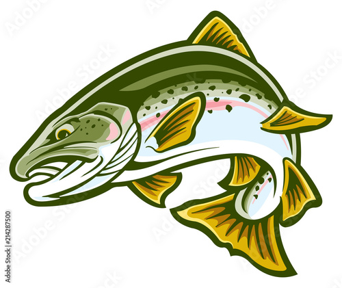 Fotografie, Obraz Rainbow trout