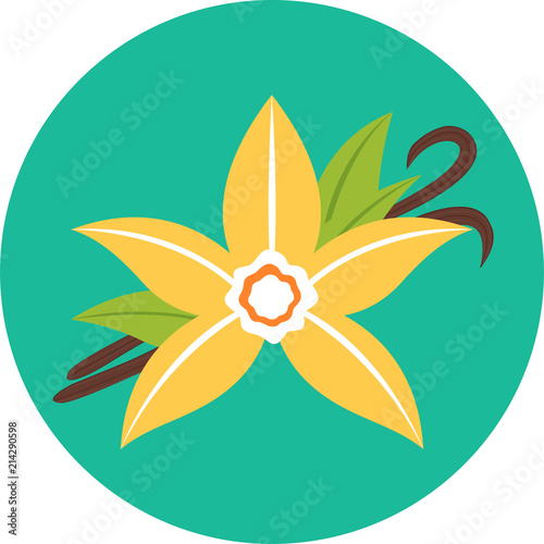 Vanilla flower with sticks, flat icon. Spices blossom. Yellow petals of blooming vanilla flower with pods. Ingredient for baking. Colorful vector illustration