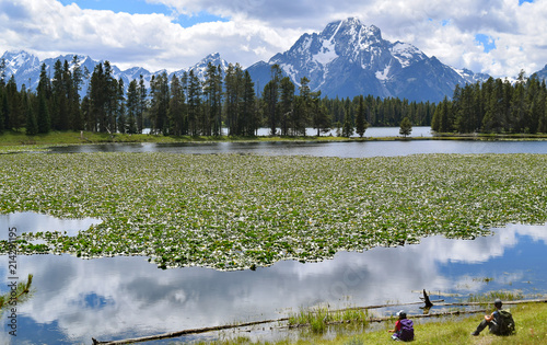 Mount Moran ans clouds reflected in the lily covered Heron Pond in Grand Teton National park