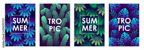 set of templates of tropical banners. summer tropics. vector illustration