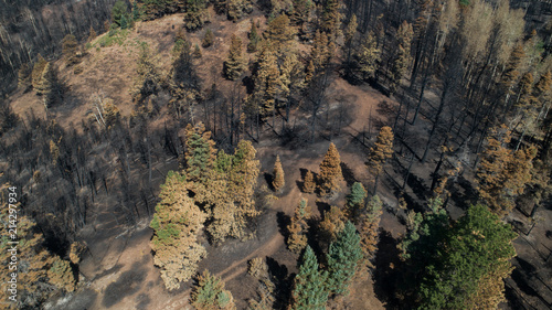 Aerial view of the damage from the Spring Fire in Southern Colorado. Note: All aerial footage was taken after the fire was out and the all clear given.