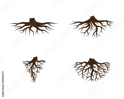 Fototapeta Logos of green Tree leaf ecology nature