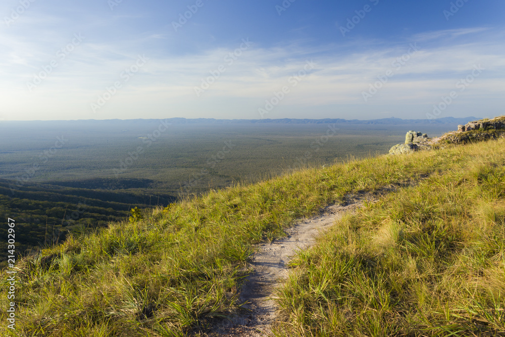 Obraz premium Untitled