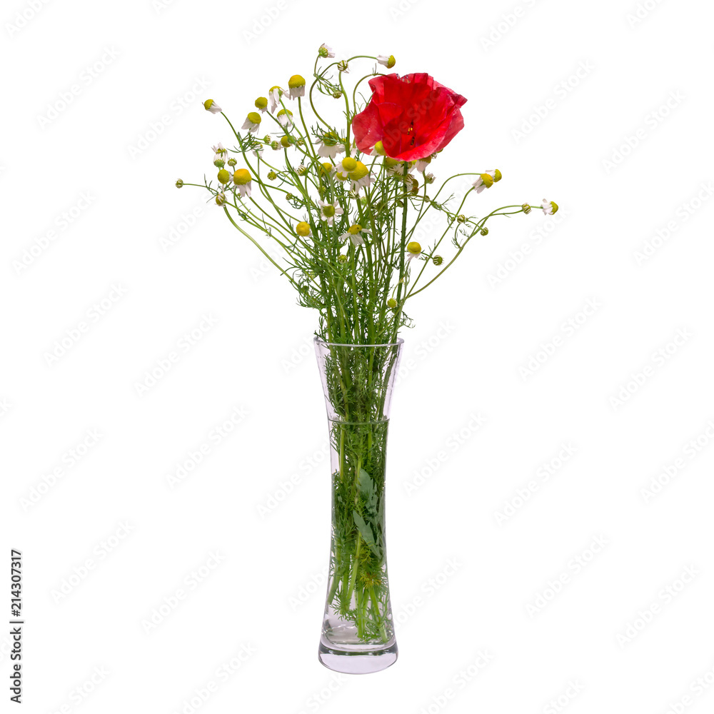 Bouquet of field chamomiles and red poppy in a transparent vase isolated on white background