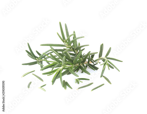 rosemary isolated on white background