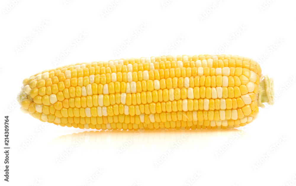 Corn isolated on white background Corn isolated on white background