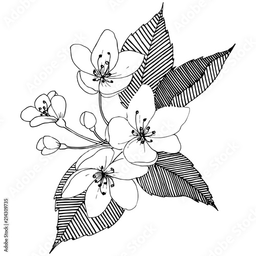 Apple tree in a vector style isolated. Full name of the plant: apple tree. Vector flower for background, texture, wrapper pattern, frame or border.