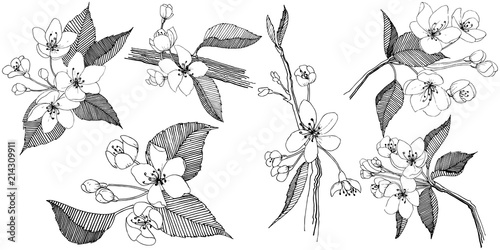 Apple tree in a vector style isolated. Full name of the plant: apple tree. Vector flower for background, texture, wrapper pattern, frame or border.