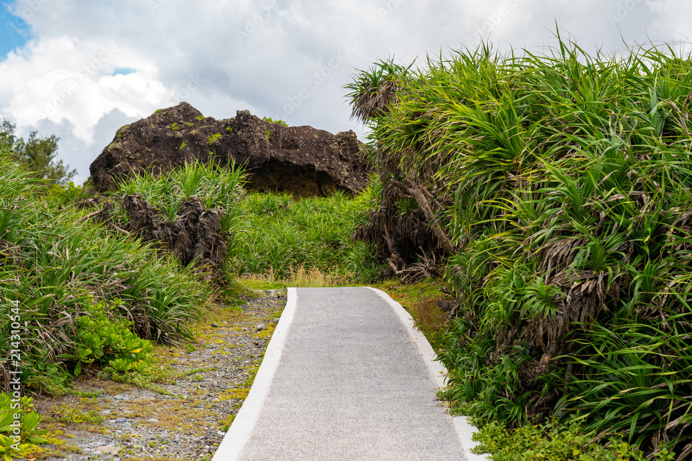 Fototapeta premium Hiking path on a tropical island in Sanxiantai, Taidong, Taiwan