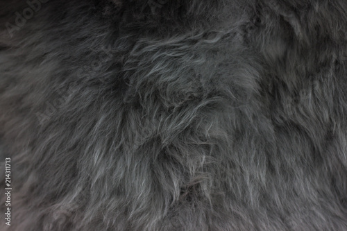 Beautiful grey wool for background