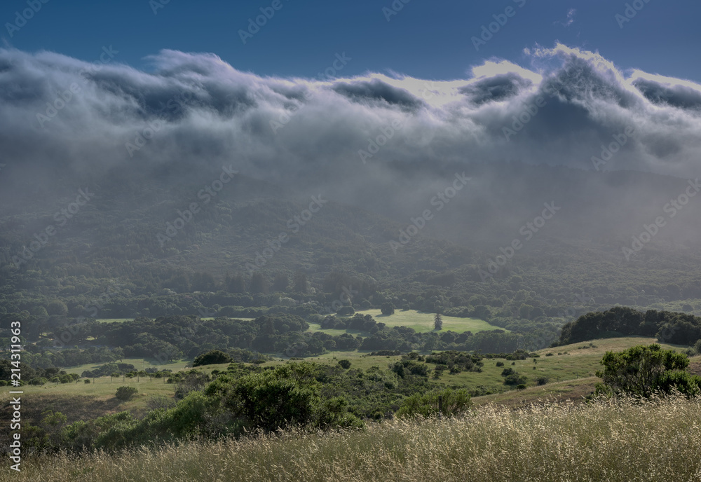 Naklejka premium Clouds