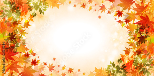 紅葉　葉　秋　背景