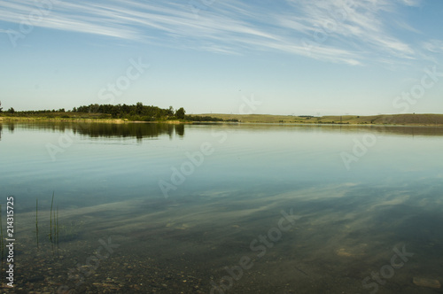 Lake shore with trees
