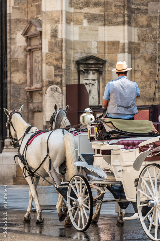 Impressionen aus Wien - Fiaker am Stephansplatz