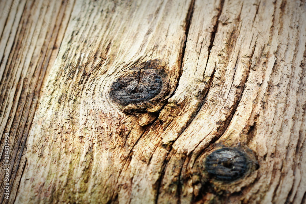 Old natural wooden shabby background close up Old natural wooden shabby background close up