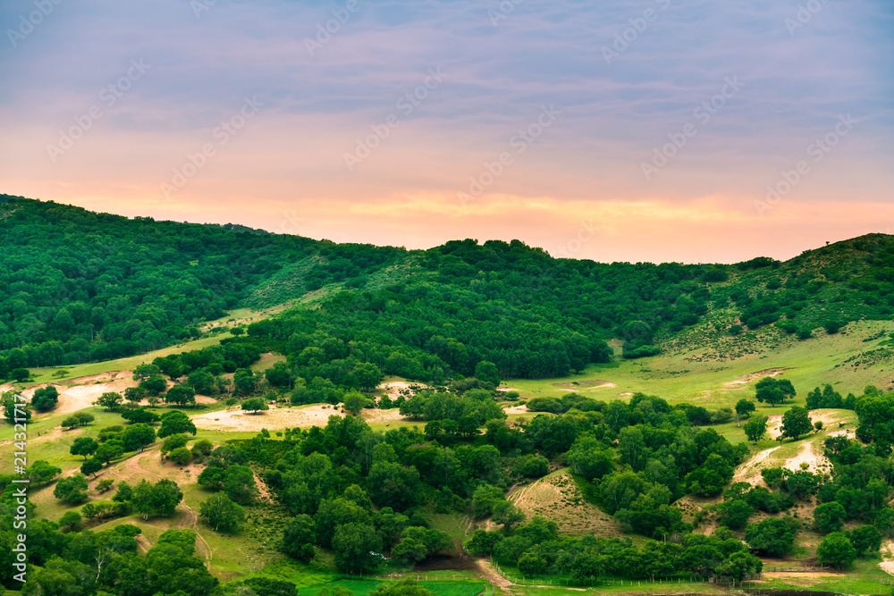Obraz premium The Ulan prairie in the midsummer
