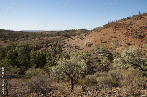 Wilpena South Australia, View of semi arid landscape with trees along creek bed