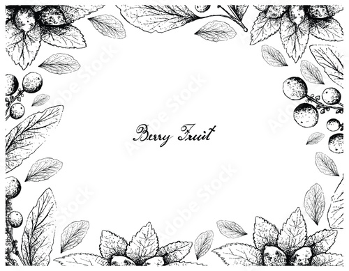 Hand Drawn Frame of Dwarf Whitebeam and Orangeberry Fruits
