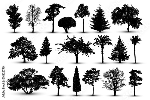 Tree silhouette, forest vector. Nature park. Isolated set, tree on white background
