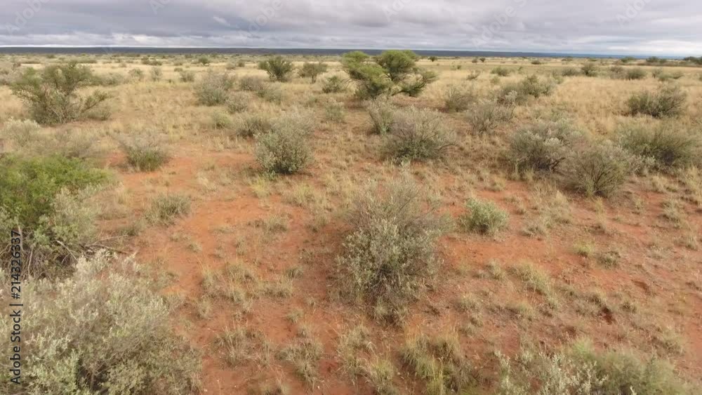 Low flying aerial view of the African savannah, Northern Cape, South Africa Low flying aerial view of the African savannah, Northern Cape, South Africa