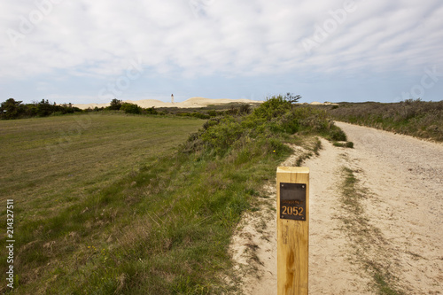 Saandlinienmarkierung an der Wanderdüne Rubjerg Knude, Nordjütland, Dänemark photo