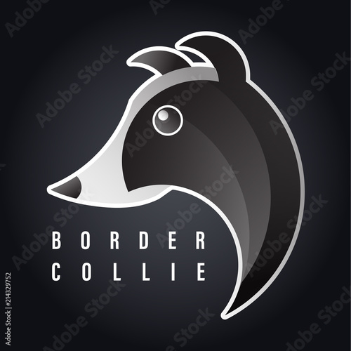 Vector portrait of a Border Collie.  Border Collie head illustration perfect for sticker and icon.  Dog head design.