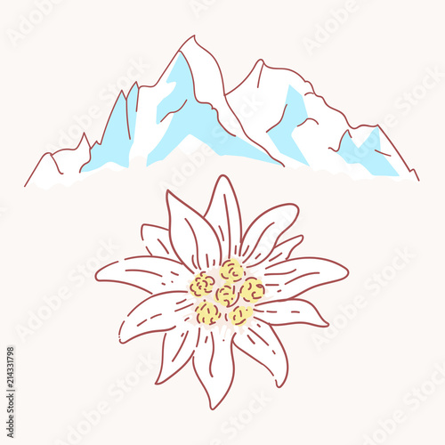edelweiss mountains mountaineering flower symbol alpinism alps germany logo