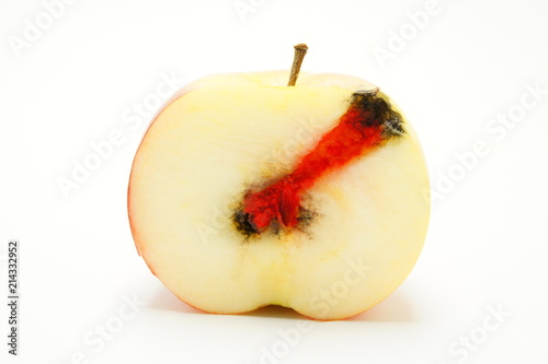 Caries. Apple with simulated lesions of the tooth.