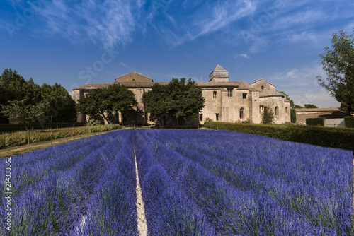 Lavender field against the background of the monastery at St Paul de Mausole in St Remy de Provence. Buches du Rhone, Provence, France.