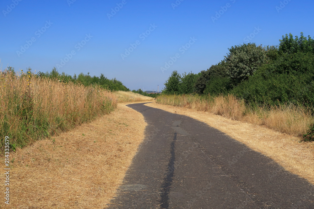 A long winding footpath in to the park