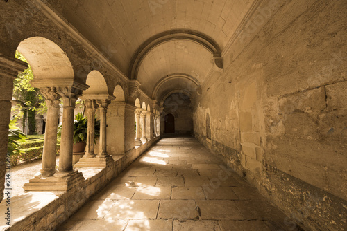 Cloister of the Monastery of San Paul de Mausole at Saint-Remy de Provence  where Van Gogh spent in 1889. Bouches du Rhone  Provence  France.