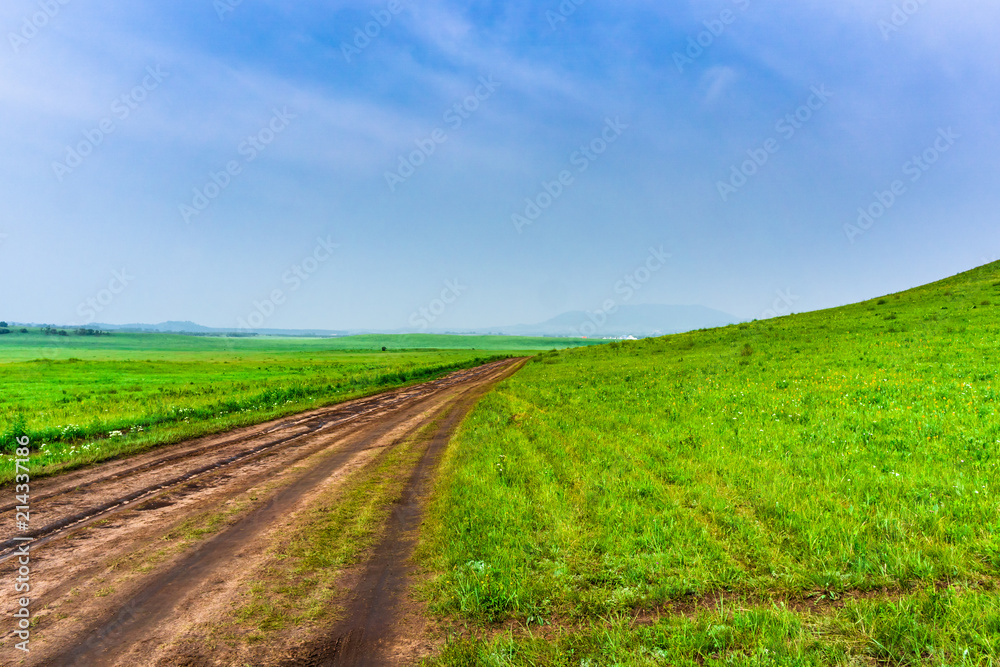 A muddy soil road in the grassland A muddy soil road in the grassland