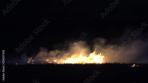 Fire flames burning the vegetation during the night photo