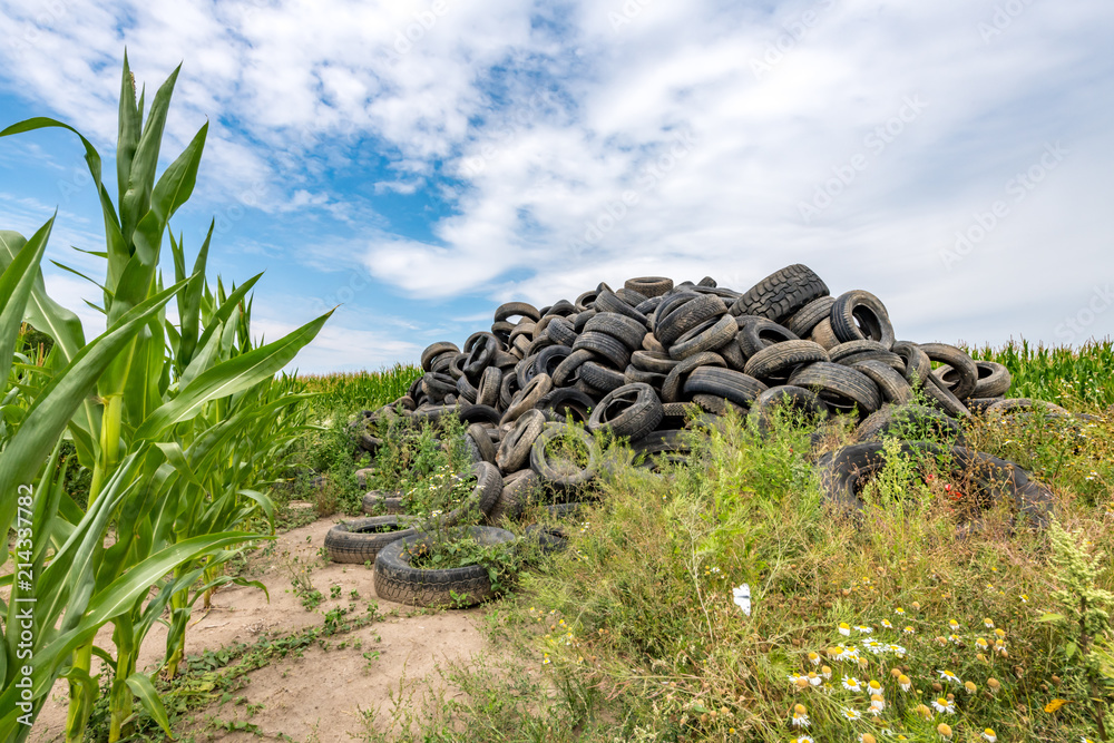 Alte kaputte Autoreifen aufgetürmt zu einem Berg in einem Maisfeld Alte kaputte Autoreifen aufgetürmt zu einem Berg in einem Maisfeld