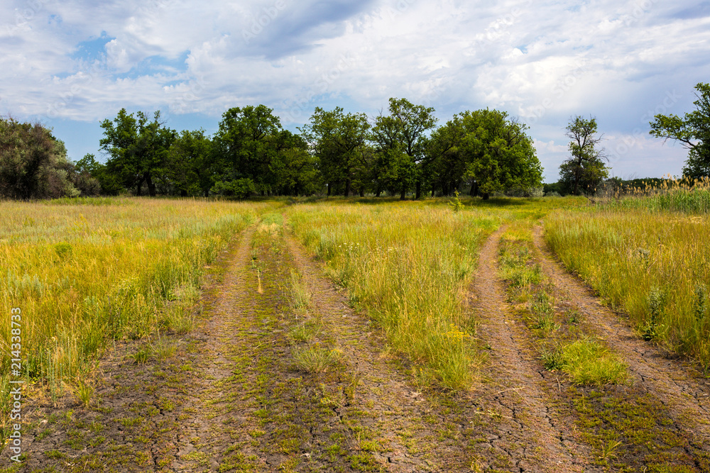The Volgograd russian steppe or prairie in july with the oaks, grass and clouds. The typical summer landscape during the hot ry summer on the south of Russia The Volgograd russian steppe or prairie in july with the oaks, grass and clouds. The typical summer landscape during the hot ry summer on the south of Russia