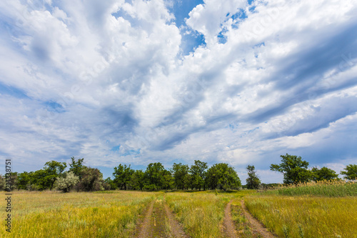 The Volgograd russian steppe or prairie in july with the oaks, grass and clouds. The typical summer landscape during the hot ry summer on the south of Russia