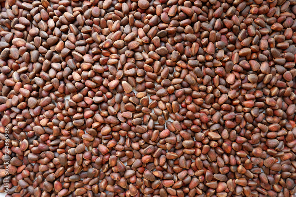Background of cedar nuts in shell. Seeds of cedar pine in bulk. Background of cedar nuts in shell. Seeds of cedar pine in bulk.